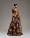 Brown Shemmy Shemmy Lehenga