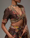 Brown Shemmy Shemmy Lehenga