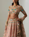 Powder Pink Sahina Lehenga Set