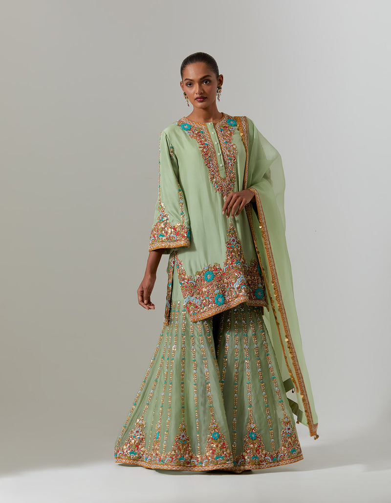 Pista green Nylah Sharara Set
