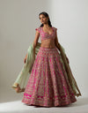 Rani Saiful Lehenga Set