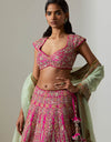 Rani Saiful Lehenga Set