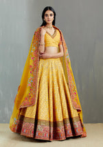 Mustard Brocade Jaal Lehenga with Gujrati Border ,Blouse & Organza Dupatta